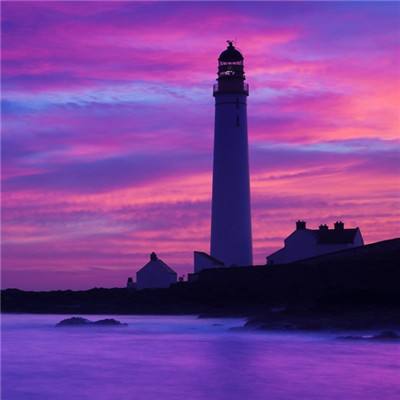 双赢彩票手机app下载