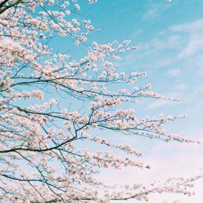 爱游戏ayx体育登录手机app下载